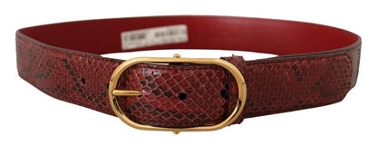 Cinturón elegante de piel de serpiente roja de Dolce &amp; Gabbana