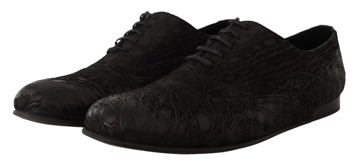 Dolce &amp; Gabbana eleganta Oxford-skor i exotiskt läder