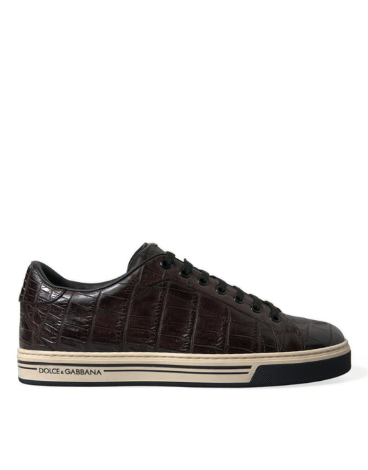 Dolce &amp; Gabbana Elegant exotiskt läder Sneakers med låg topp