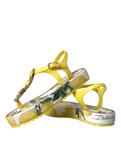 Dolce &amp; Gabbana Yellow Lemon Beachwear Flats Sandaler Skor