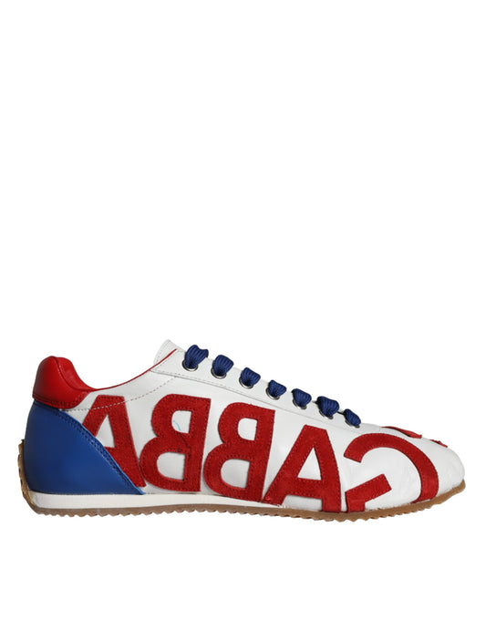 Dolce &amp; Gabbana Multicolor Läder Logotyp Casual Sneakers Skor