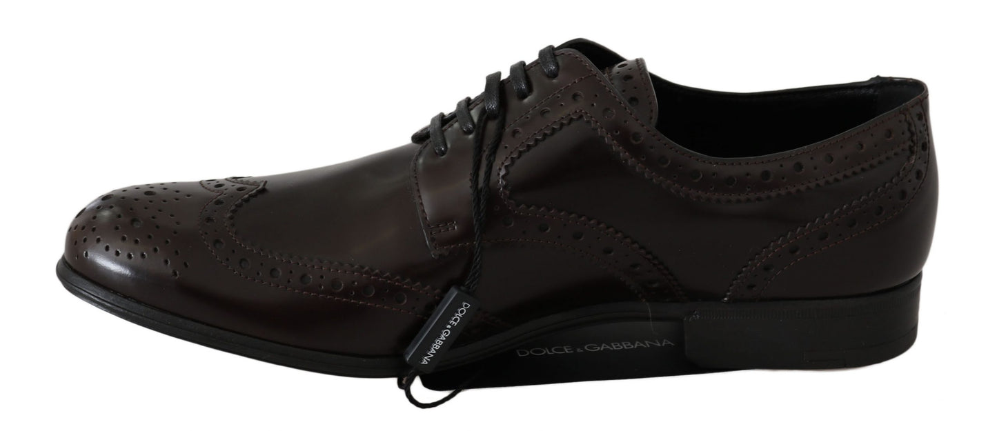 Elegantes zapatos Oxford de piel marrón de Dolce &amp; Gabbana